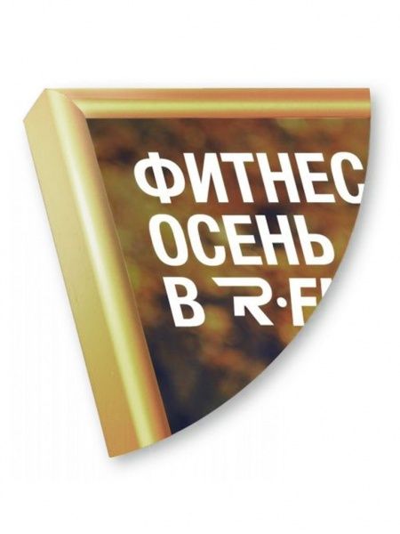 Рамка Нельсон 02, А4,  золото глянец анодир. в Екатеринбурге - картинка, изображение, фото